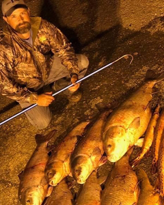 Percy Priest Lake Fishing Haul 